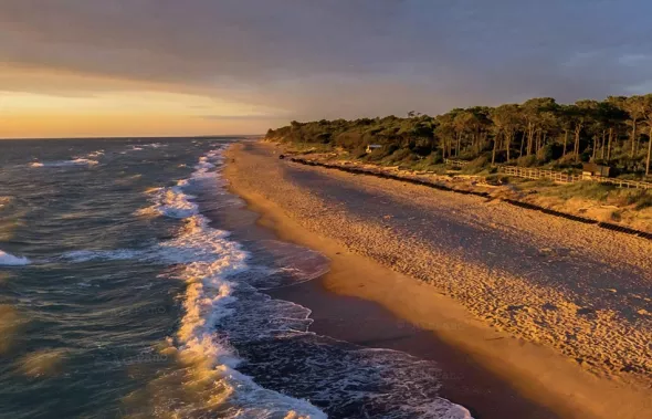 Куршская коса | Полезное в блоге CarPlus